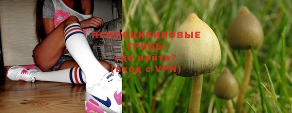 apvp Покров