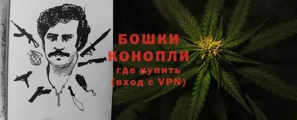 ГАЛЛЮЦИНОГЕННЫЕ ГРИБЫ Пестово