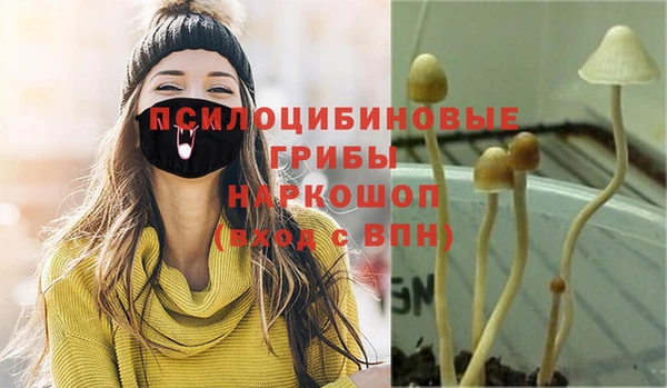 ГАЛЛЮЦИНОГЕННЫЕ ГРИБЫ Пестово
