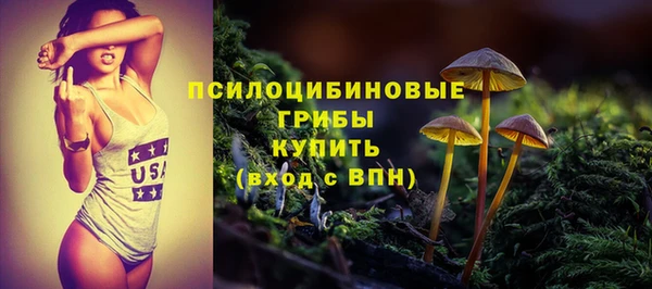 jwh Пересвет