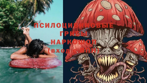 apvp Покров